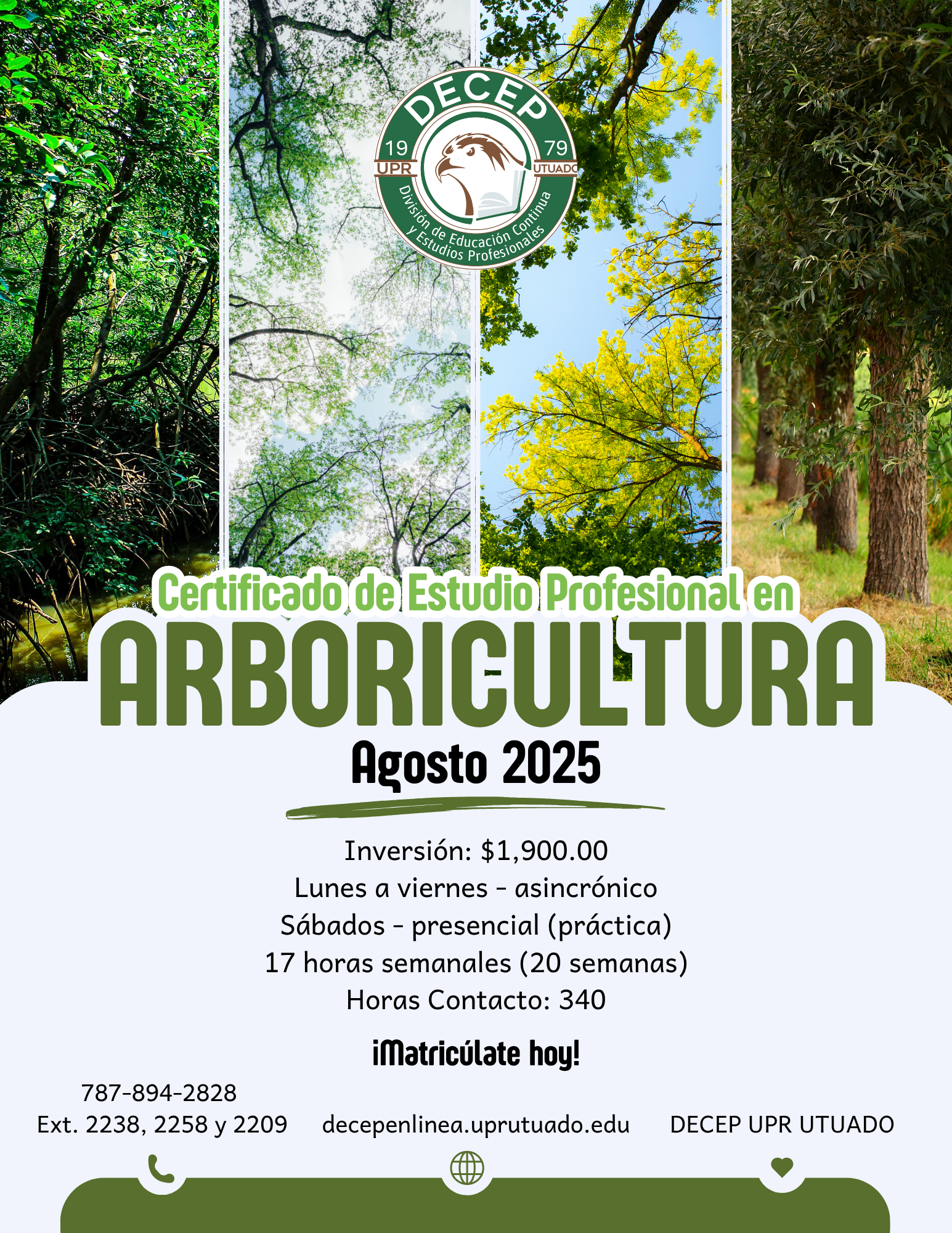 Certificado de Estudio Profesional en Arboricultura (tercer pago)